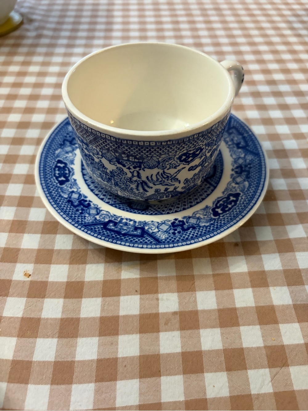 Blue Willow Porcelain Teacup & Saucer - Blue Pattern